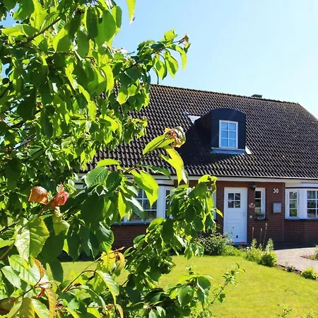 Federnelke Im Ostseebad Thiessow
